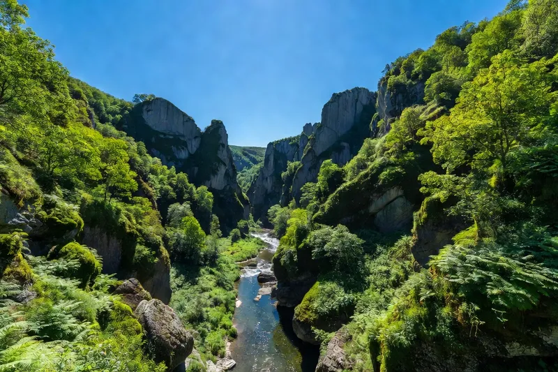 Couleurs d’automne dans les gorges de la Sioule en Combrailles